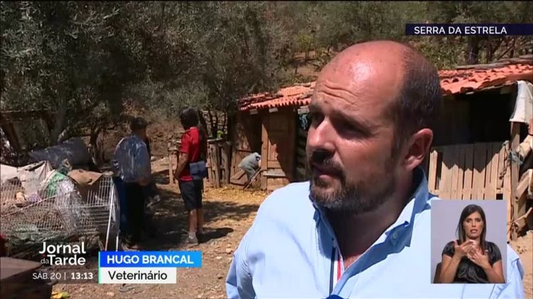 incendio serra da estrela