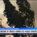 Incêndio nas Caldas da Rainha no limite de três concelhos