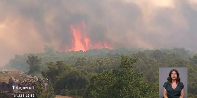 Incêndio voltou a ameaçar o Parque Natural do Alvão