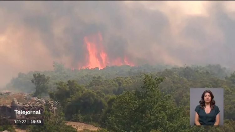 Incêndio voltou a ameaçar o Parque Natural do Alvão