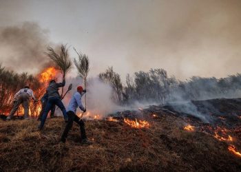 incêndios vila real