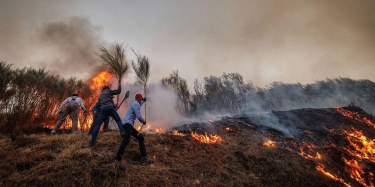 incêndios vila real