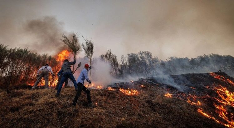 incêndios vila real