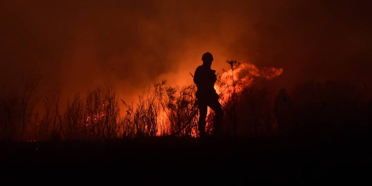 Incêndios área ardida