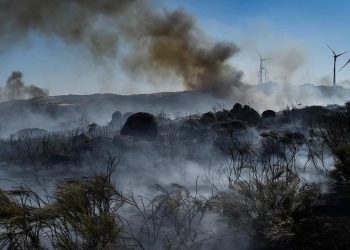tiago oliveira incendios