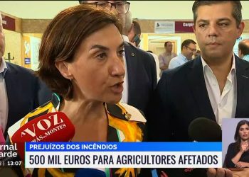 ministra incendios