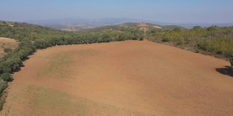 Nordeste transmontano