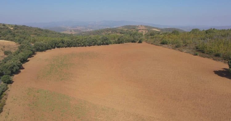 Nordeste transmontano