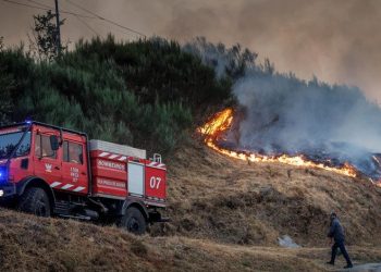 Vila Real incêndios