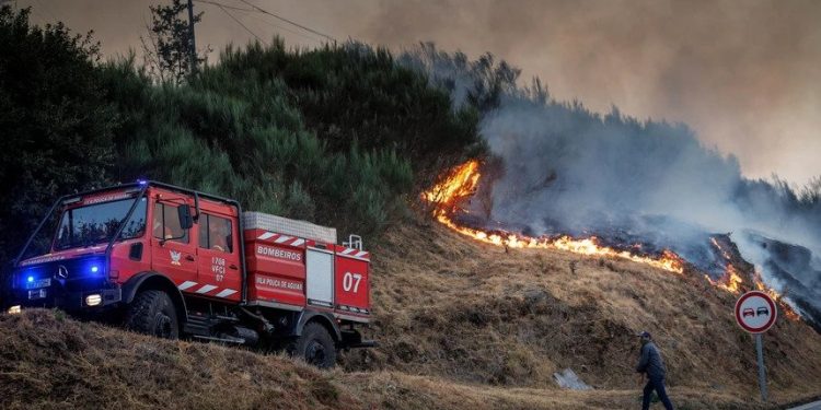 Vila Real incêndios