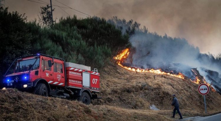 Vila Real incêndios