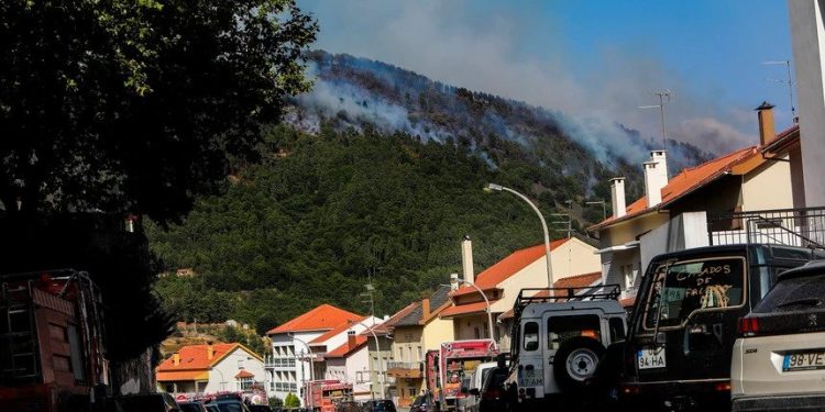 incêndio na Serra da Estrela