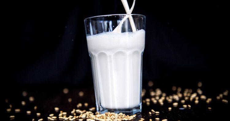 Produtores de leite ponderam aumentar preços para suportar aumento dos custos de produção