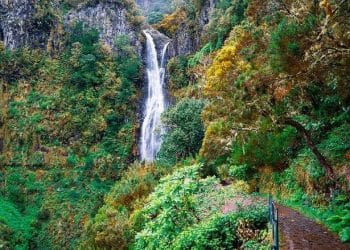madeira percursos pedestres