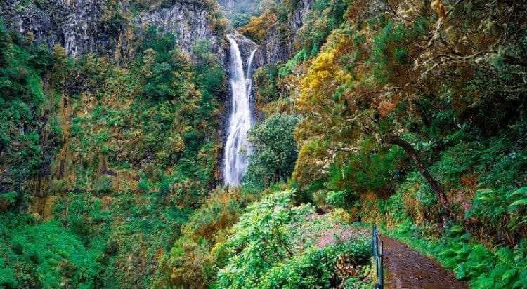 madeira percursos pedestres