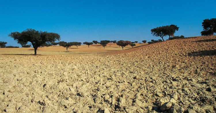 Seca em Portugal
