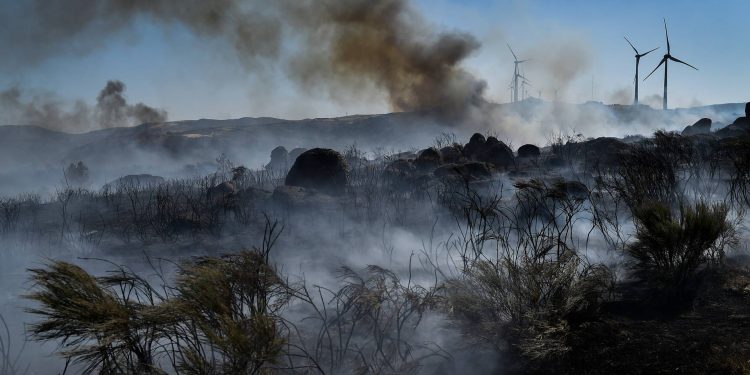 ´serra da estrela incendio