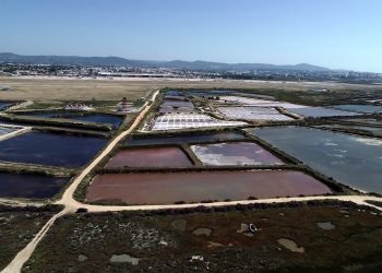 aquacultura sustentável