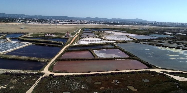 aquacultura sustentável