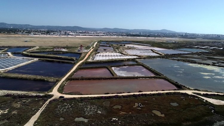 aquacultura sustentável