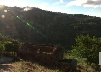 incendio serra da estrela