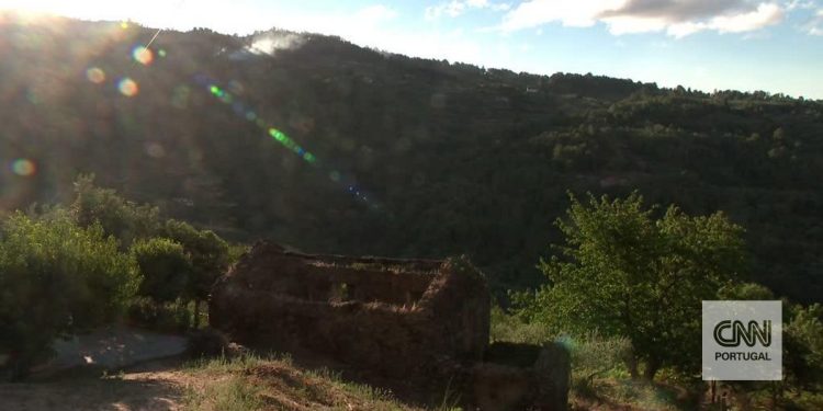 incendio serra da estrela