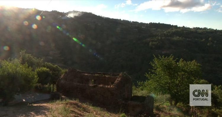 incendio serra da estrela