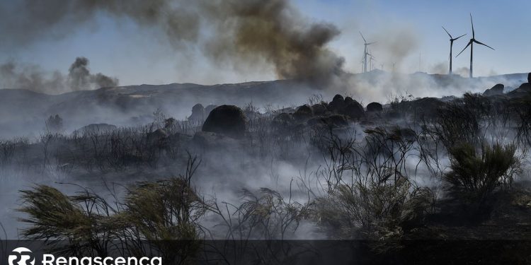 hectares ardidos em Portugal
