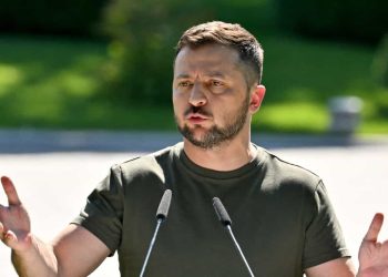 Zelensky cereais