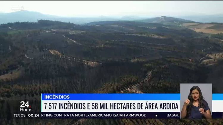 58 mil hectares