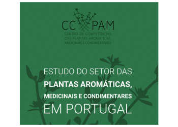 aromaticas