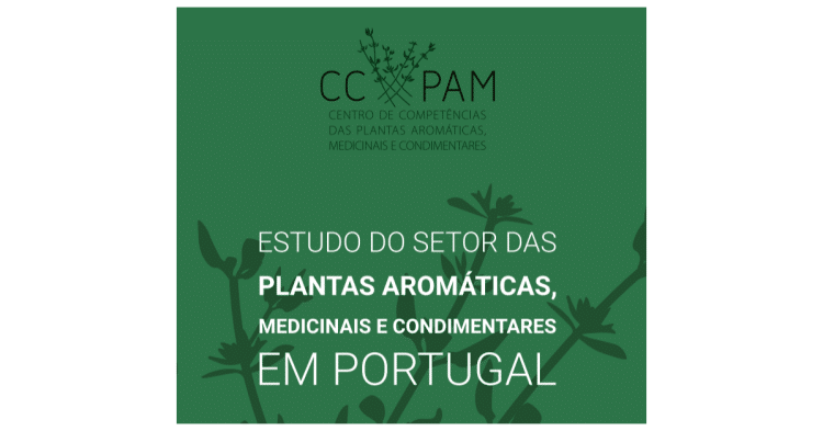 aromaticas