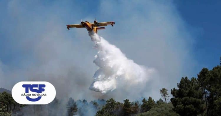 bombeiros aviao