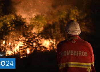 estado alerta