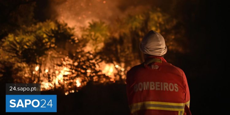 estado alerta