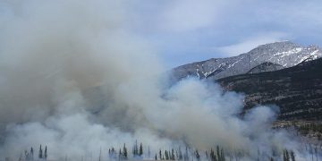 forest fire