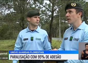 greve guardas florestais