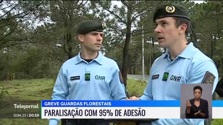 greve guardas florestais