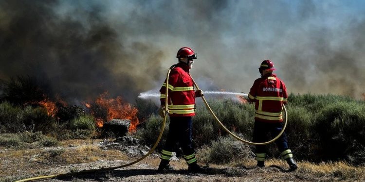 icnf ecossistemas incêndios