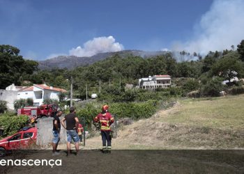 incendio serra da estrela