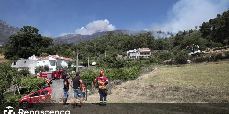 incendio serra da estrela