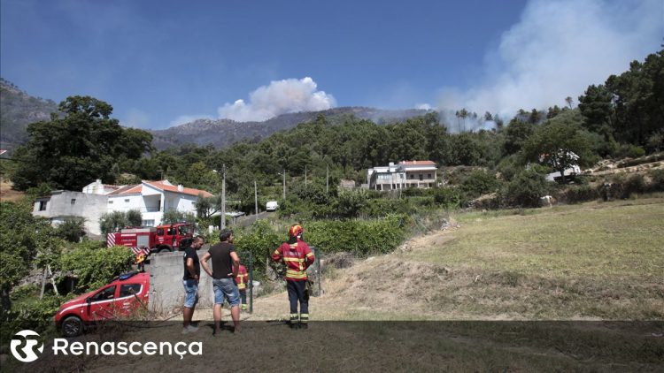incendio serra da estrela