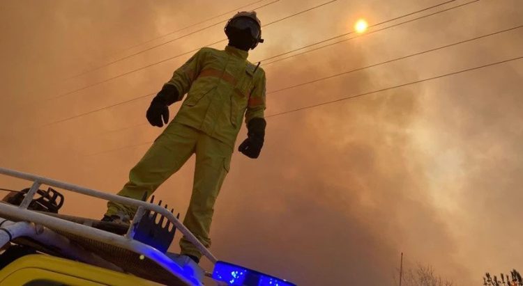 incêndio vila real