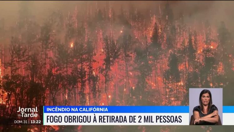 incendios EUA