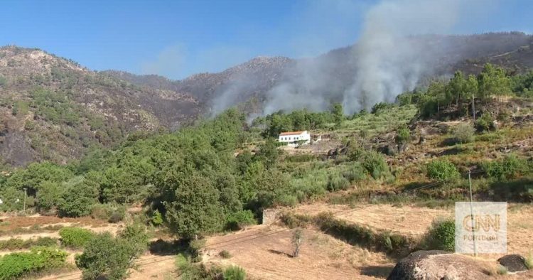 incendios covilha
