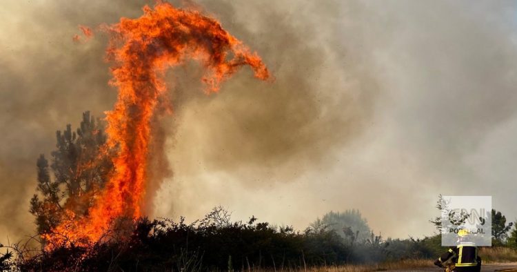 fogos espanha