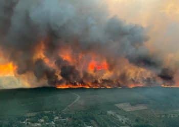 Incêndio em França