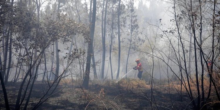 incendios autarcas