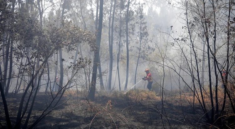 incendios autarcas