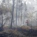 incendios autarcas